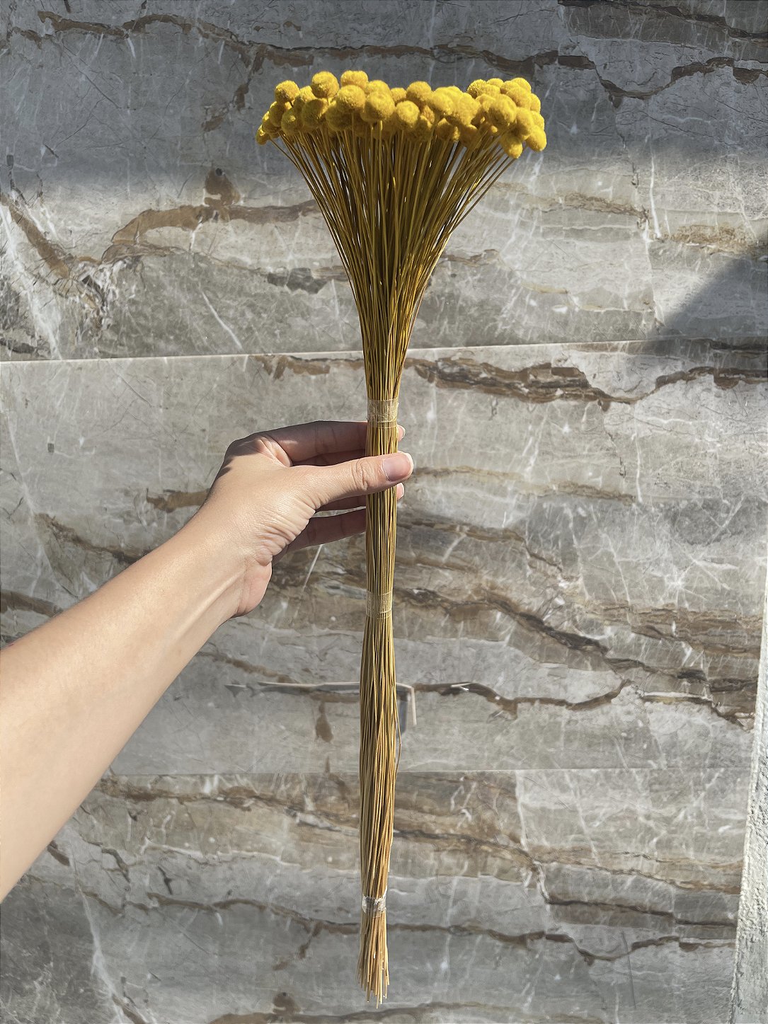 Botão Amarelo Desidratado - 200 Unidades