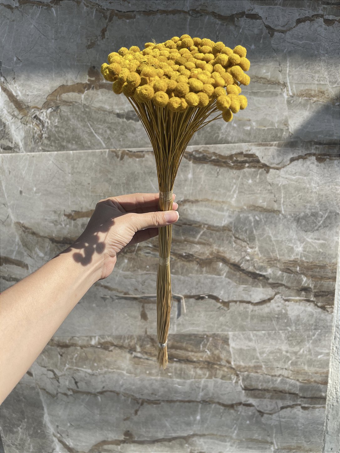 Botão Amarelo Desidratado - 200 Unidades
