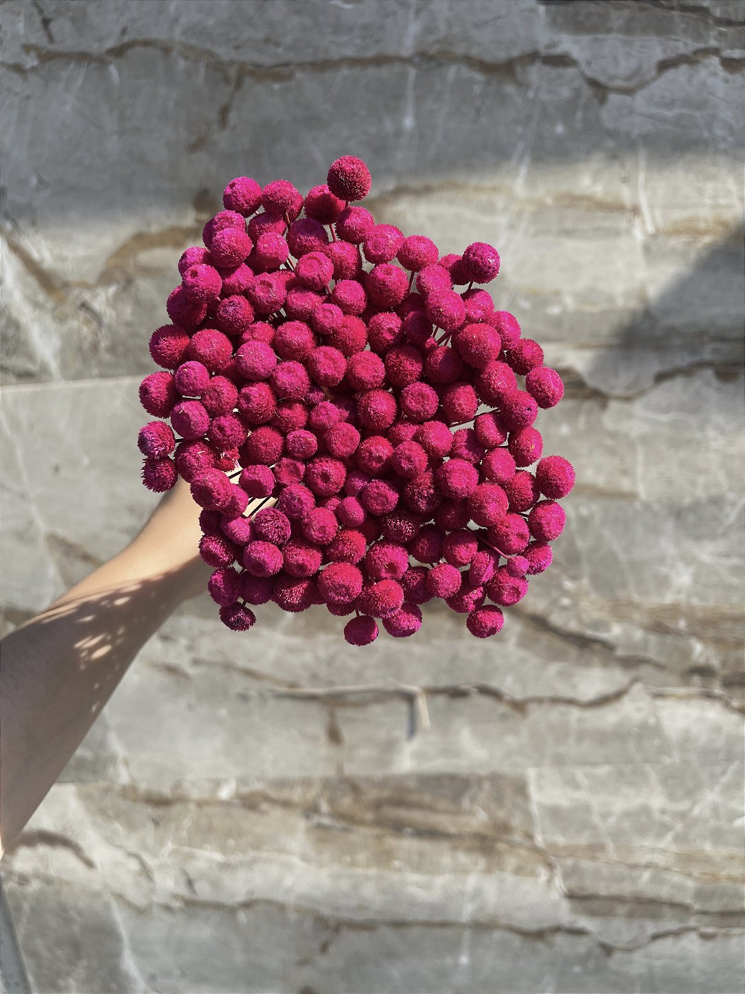 Botão Rosa-Pink Desidratado - 200 Unidades