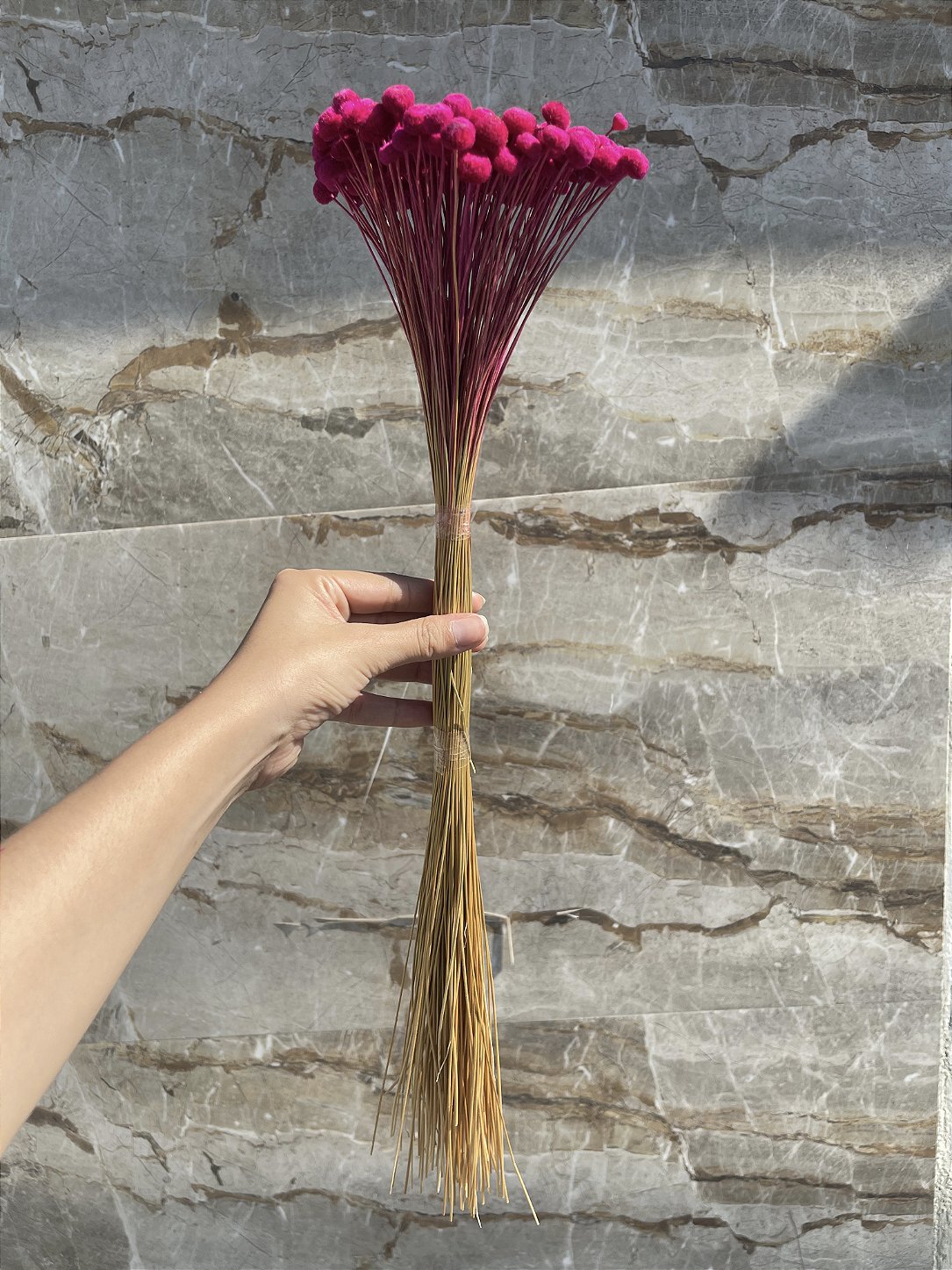 Botão Rosa-Pink Desidratado - 200 Unidades