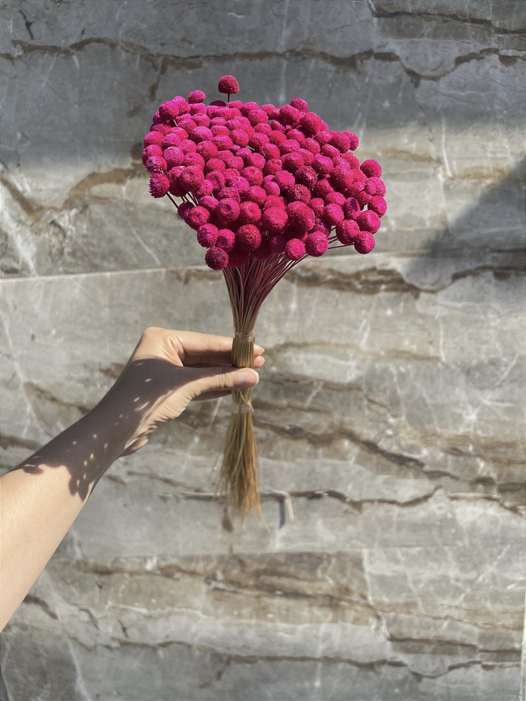 Botão Rosa-Pink Desidratado - 200 Unidades