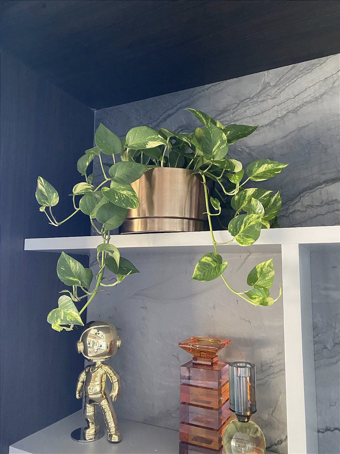 Cesta de Jiboia verde tradicional C21
