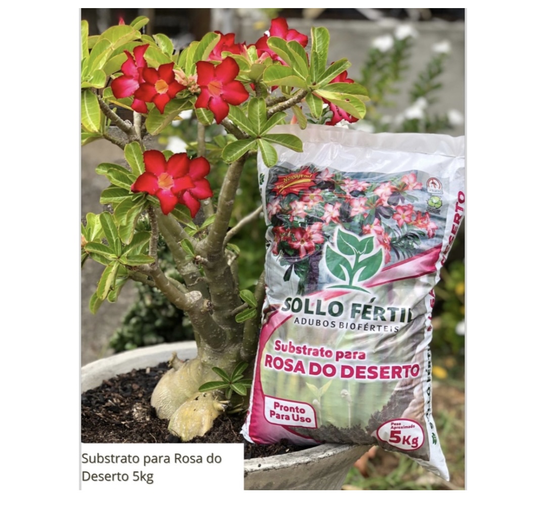 Substrato Rosa do Deserto 5kg Sollo Fértil