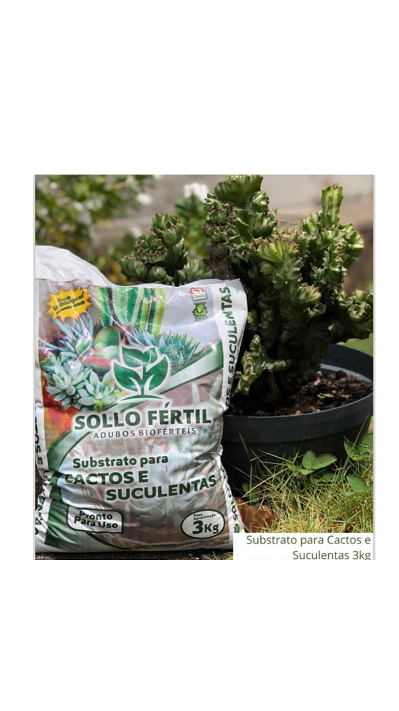 Substrato para Cactos e Suculentas 3kg