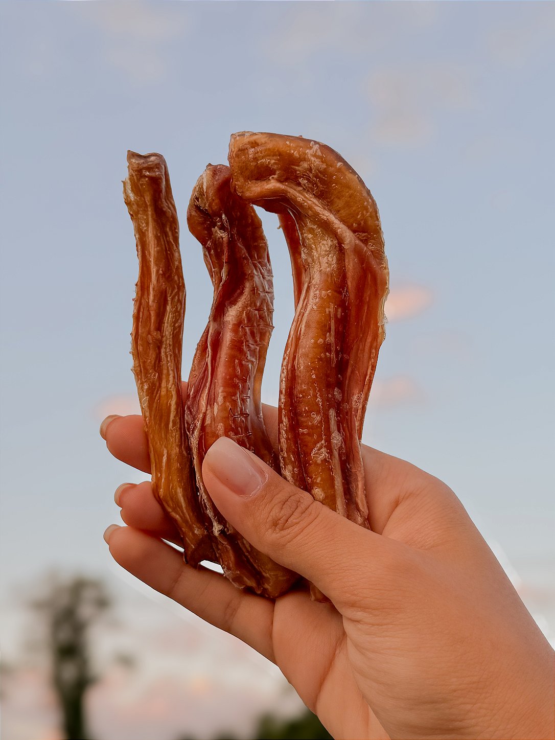 VERGALHO STICK - 100G