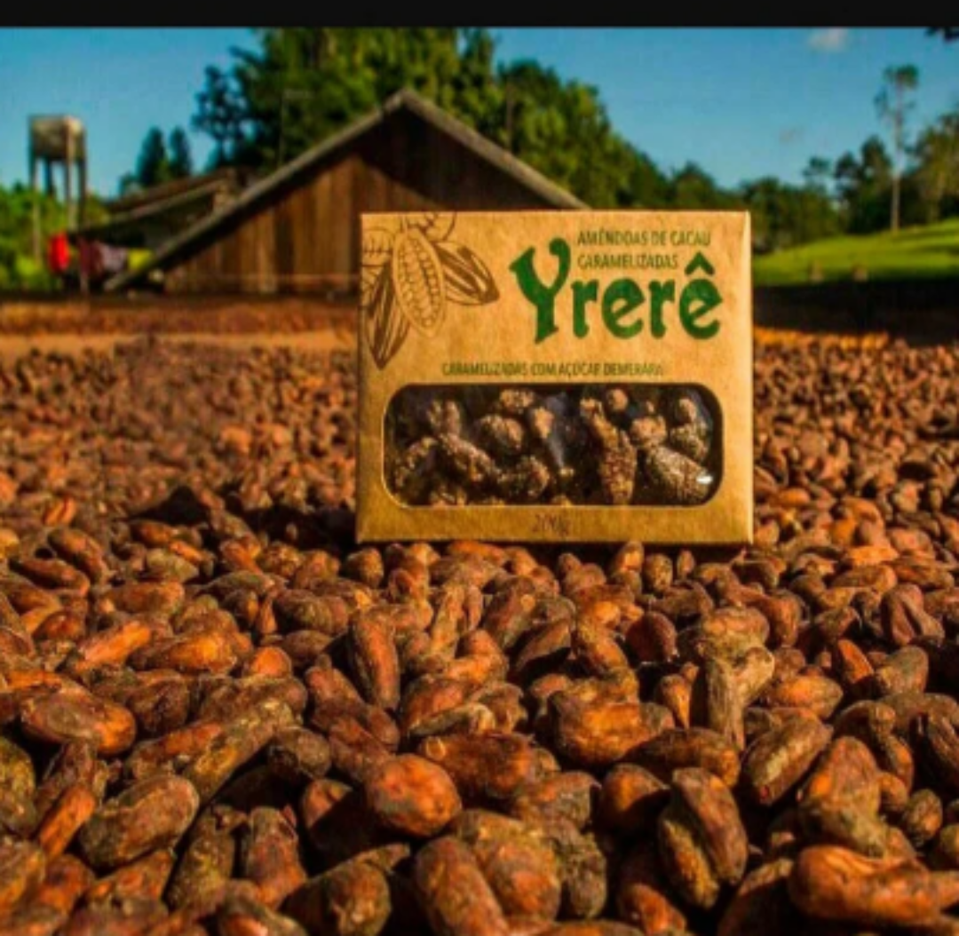 Passeio Fazenda de Cacau Yrerê rota do chocolate