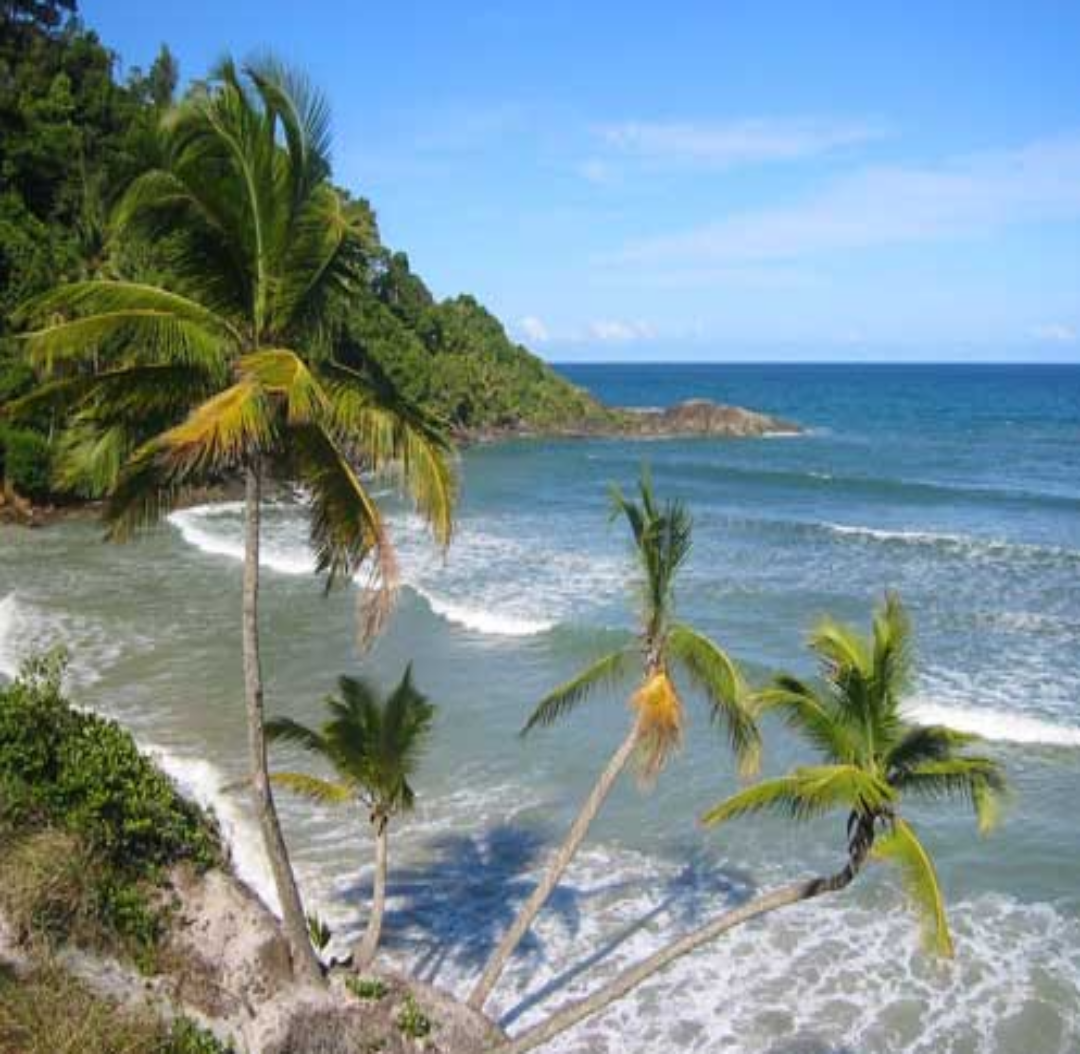 Passeio trilha praia da Engenhoca e Havaízinho Itacaré Bahia