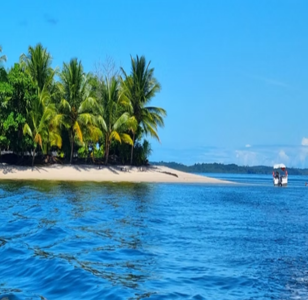 Passeio das ilhas Barra Grande Bahia