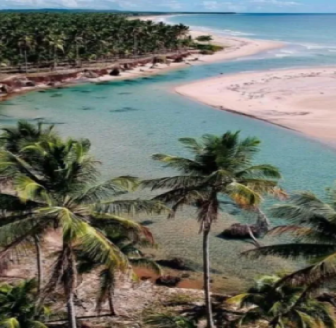 Transfer Ilhéus x Barra Grande