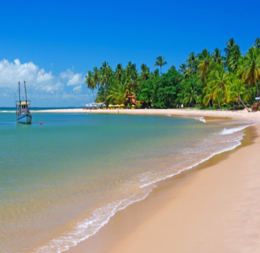 Transfer Ilhéus x Barra Grande