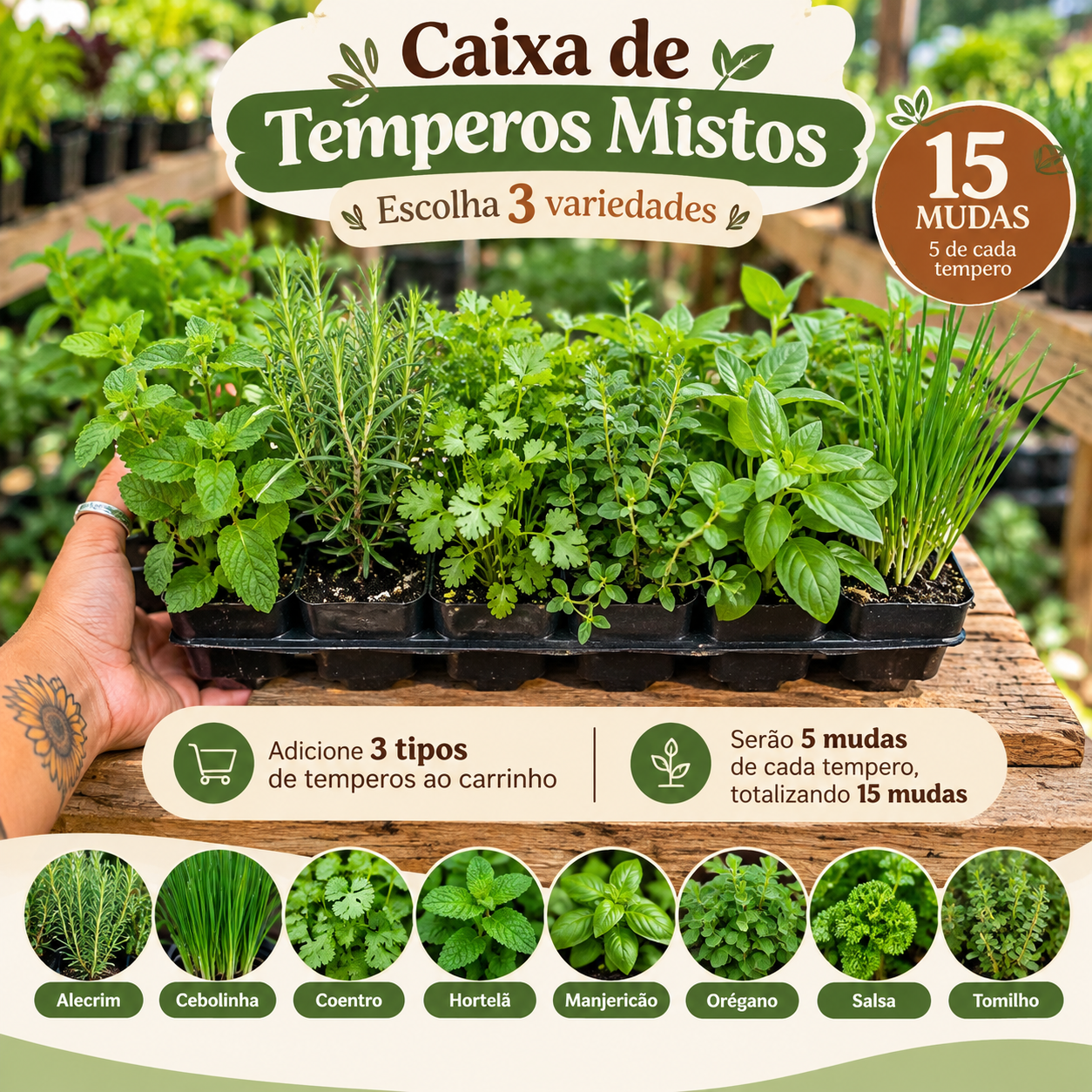 🌿 Caixa de Temperos Mistos – 15 Mudas | Escolha 3 Variedades (Obrigatório)