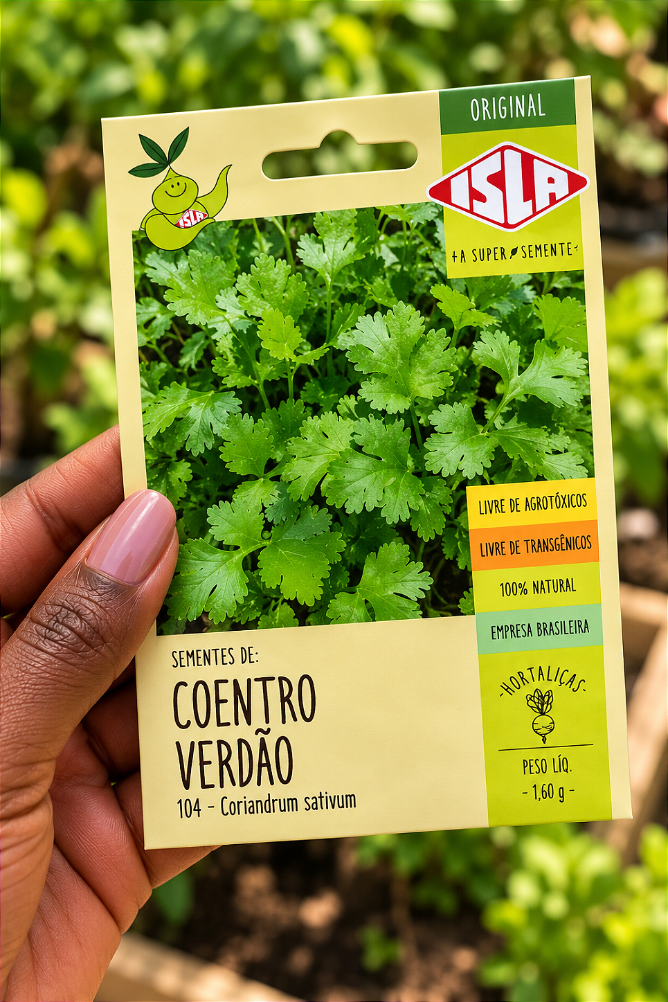 Sementes de Coentro Verdão para Plantio
