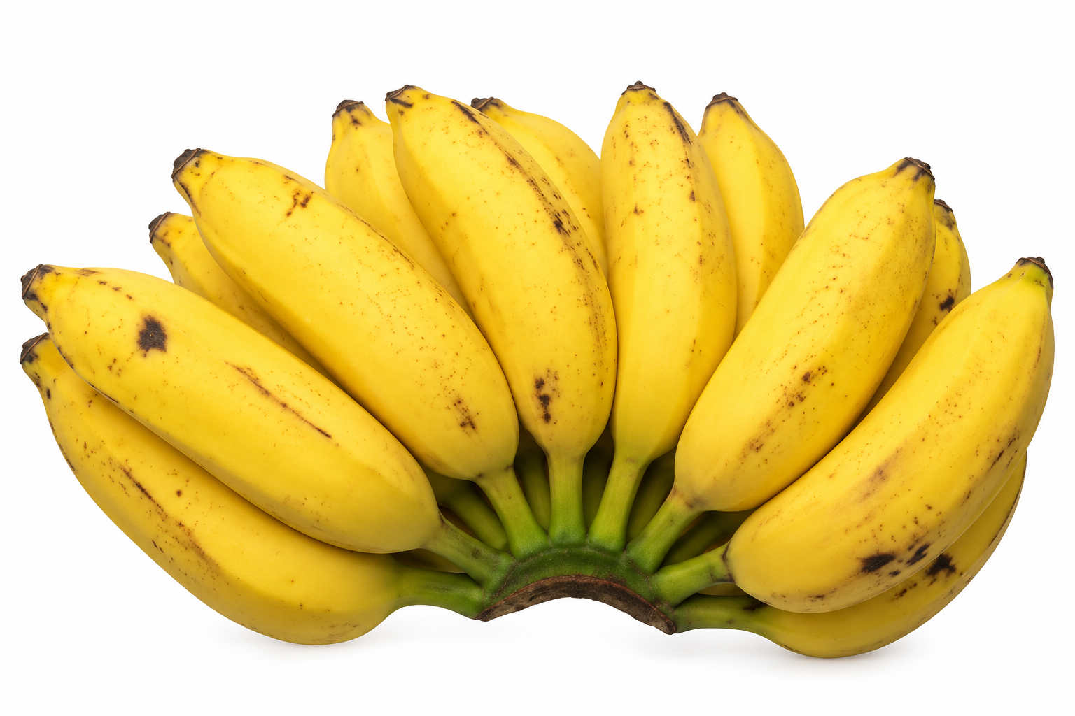 Banana Prata – 1,30 metros