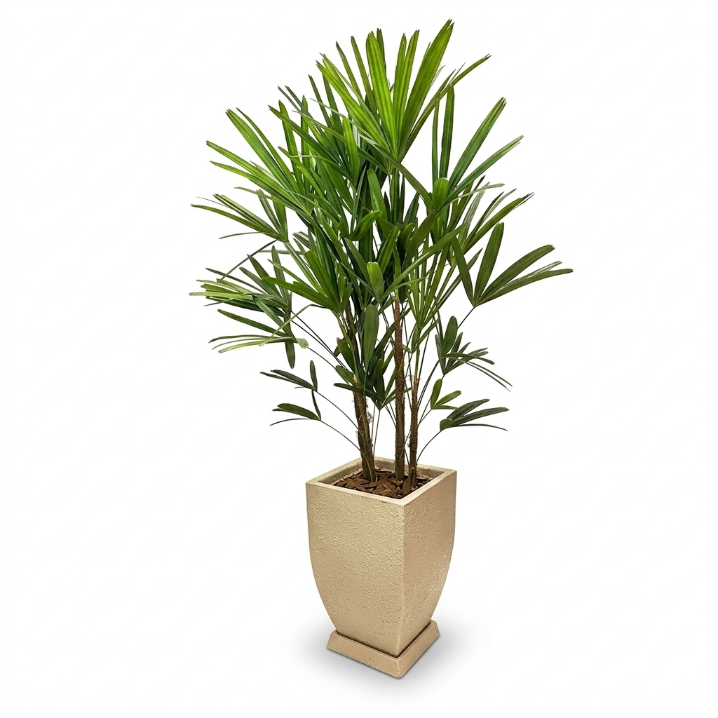🌿 Arranjo de Ráfis no Vaso Quadrado Moderno