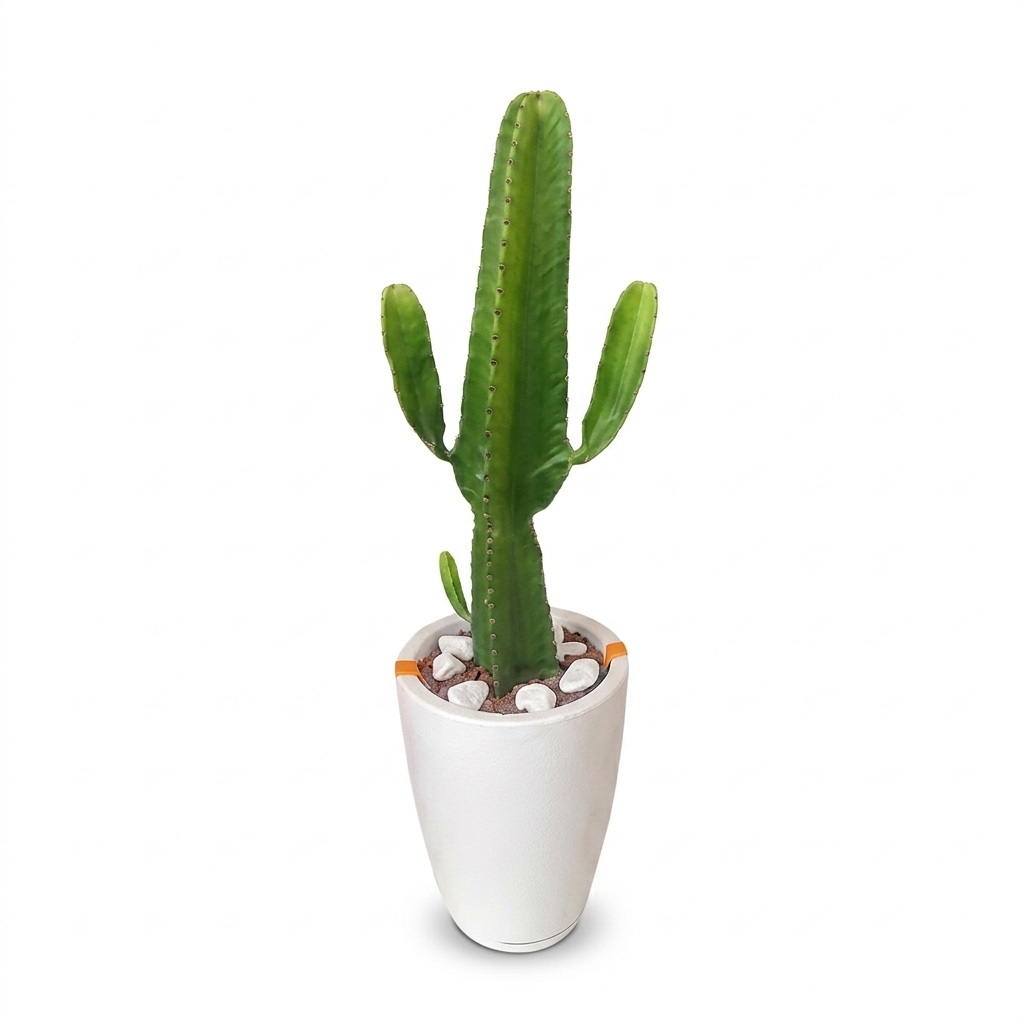 🌵 Arranjo de Cacto Mandacaru no Vaso de Polietileno