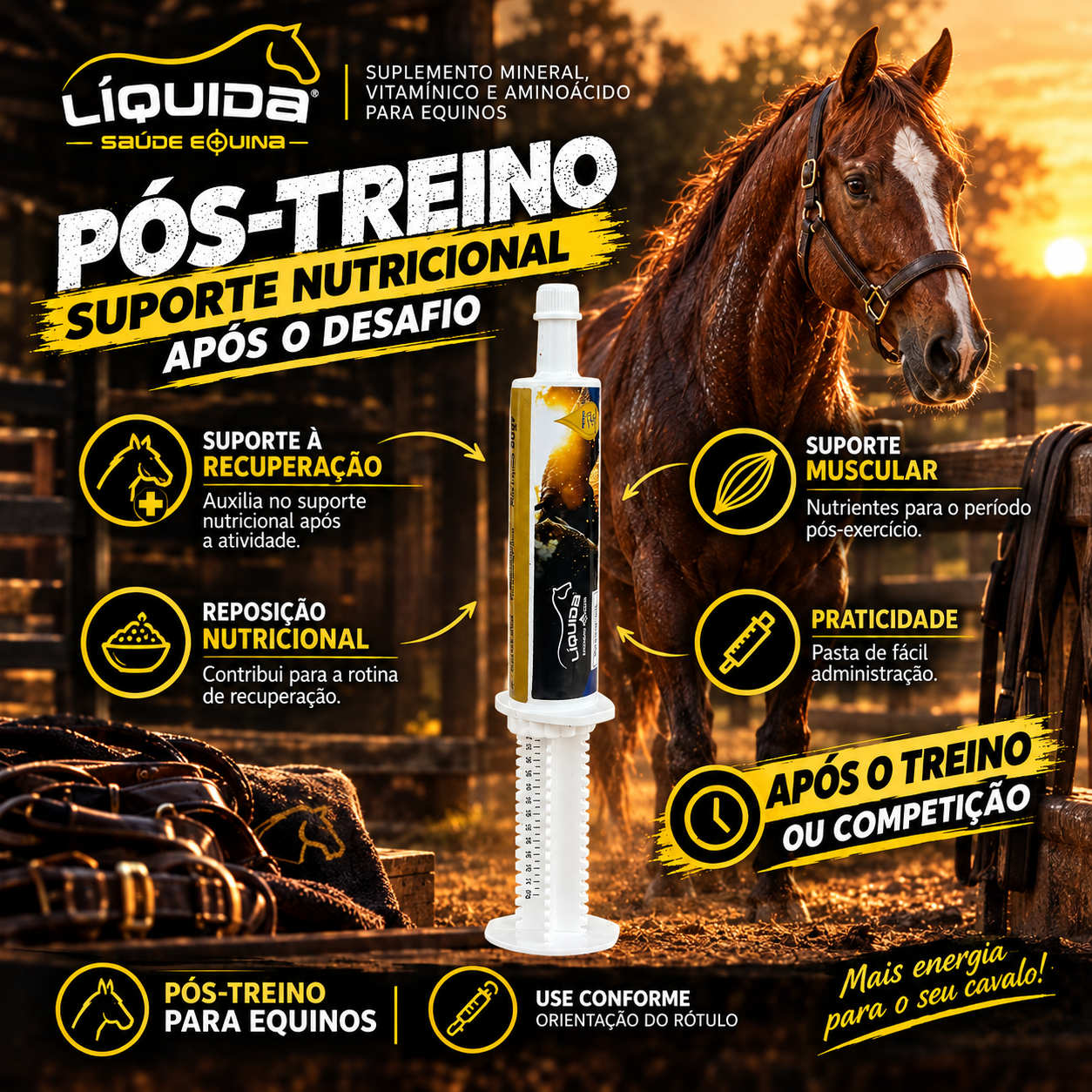 Pasta Pós-Treino Liquida Equinos — Recuperação e Reposição Nutricional para Cavalos Atletas