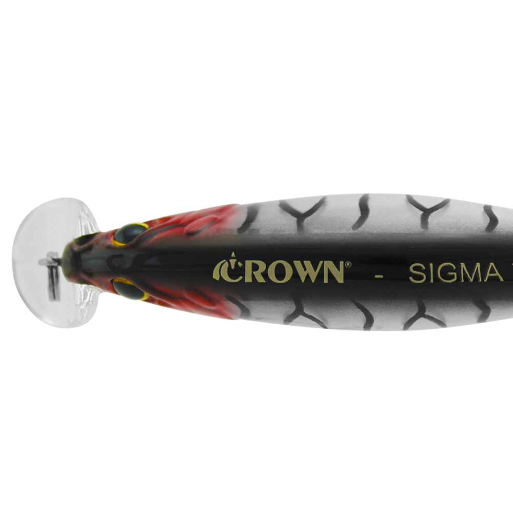 CROWN ISCA ARTIFICIAL SIGMA 75 - COR 31