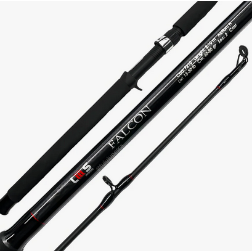 Vara LMS Rods Falcon 2,40m 20-50lbs 60-100gr 2pc