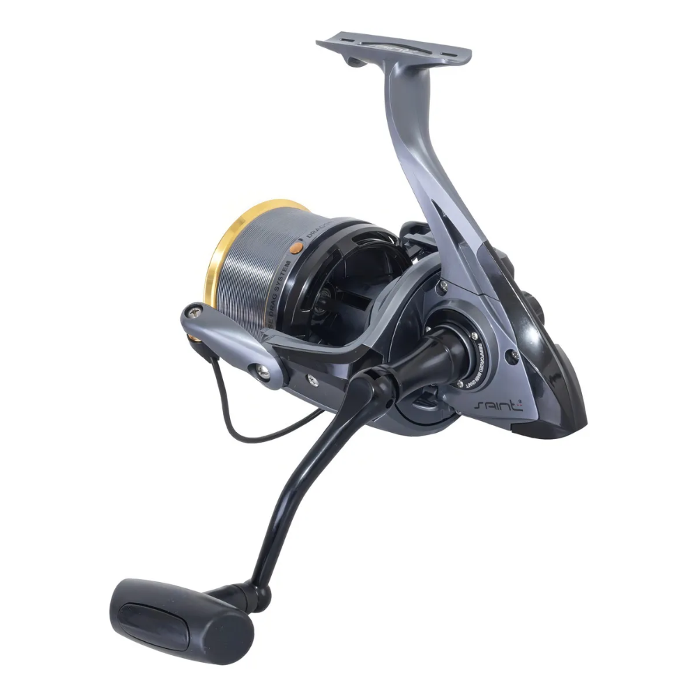 SAINT PLUS MOLINETE DRAGON COAST 8000
