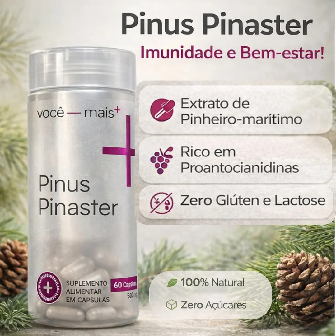 Pinus Pinaster 500mg 60 Cápsulas - Vitaminas Vc+ Sem Sabor