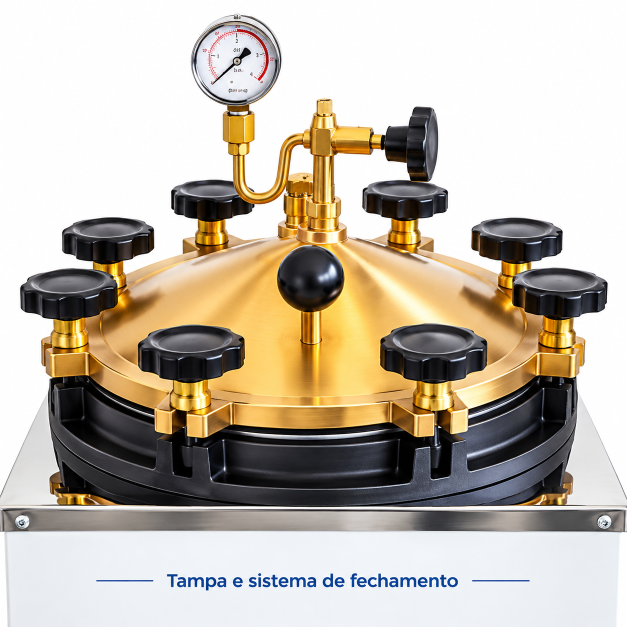 Tampa sistema de fechamento manômetro e válvulas da autoclave Prismatec CS-A