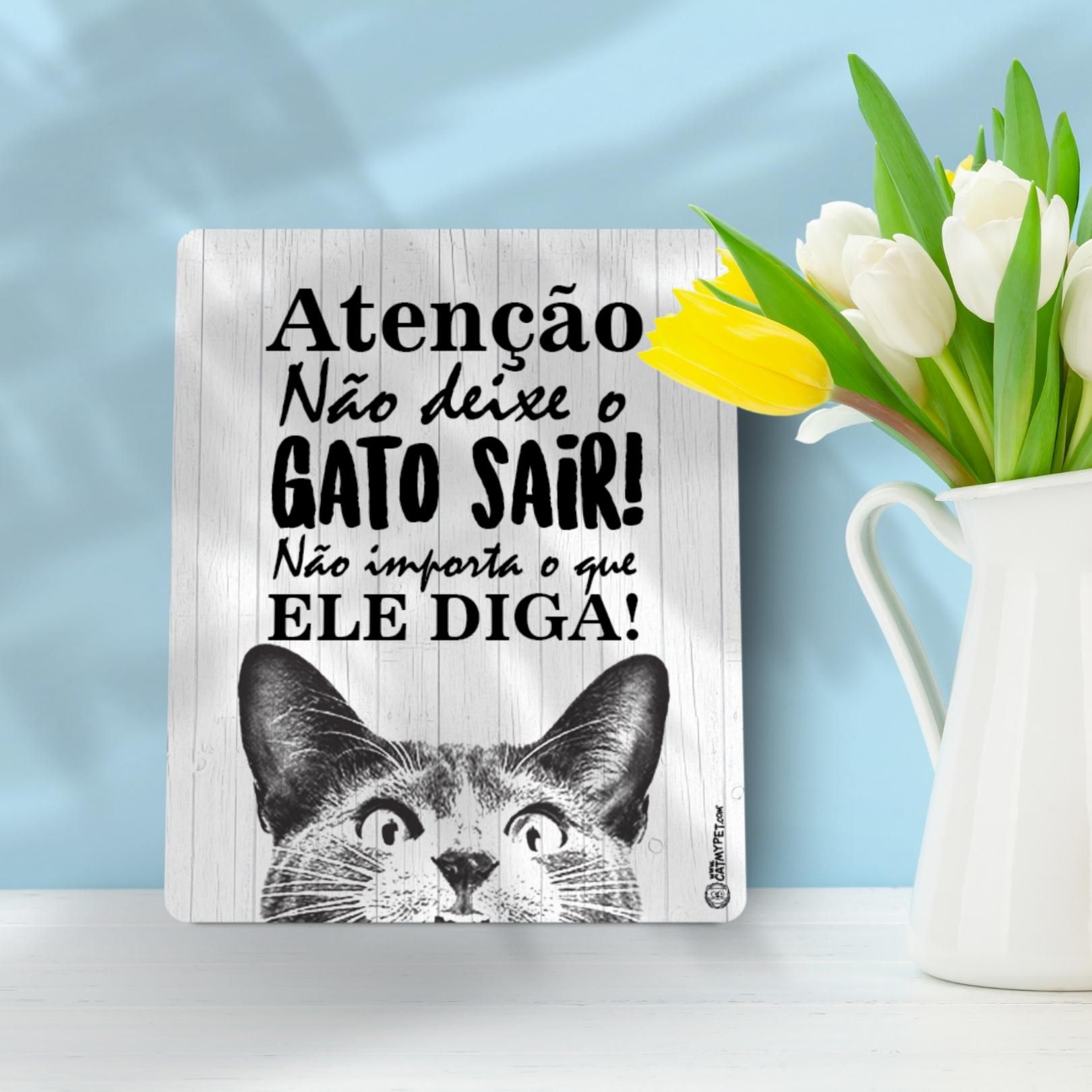 Placa Decorativa - Não Deixe o Gato Sair