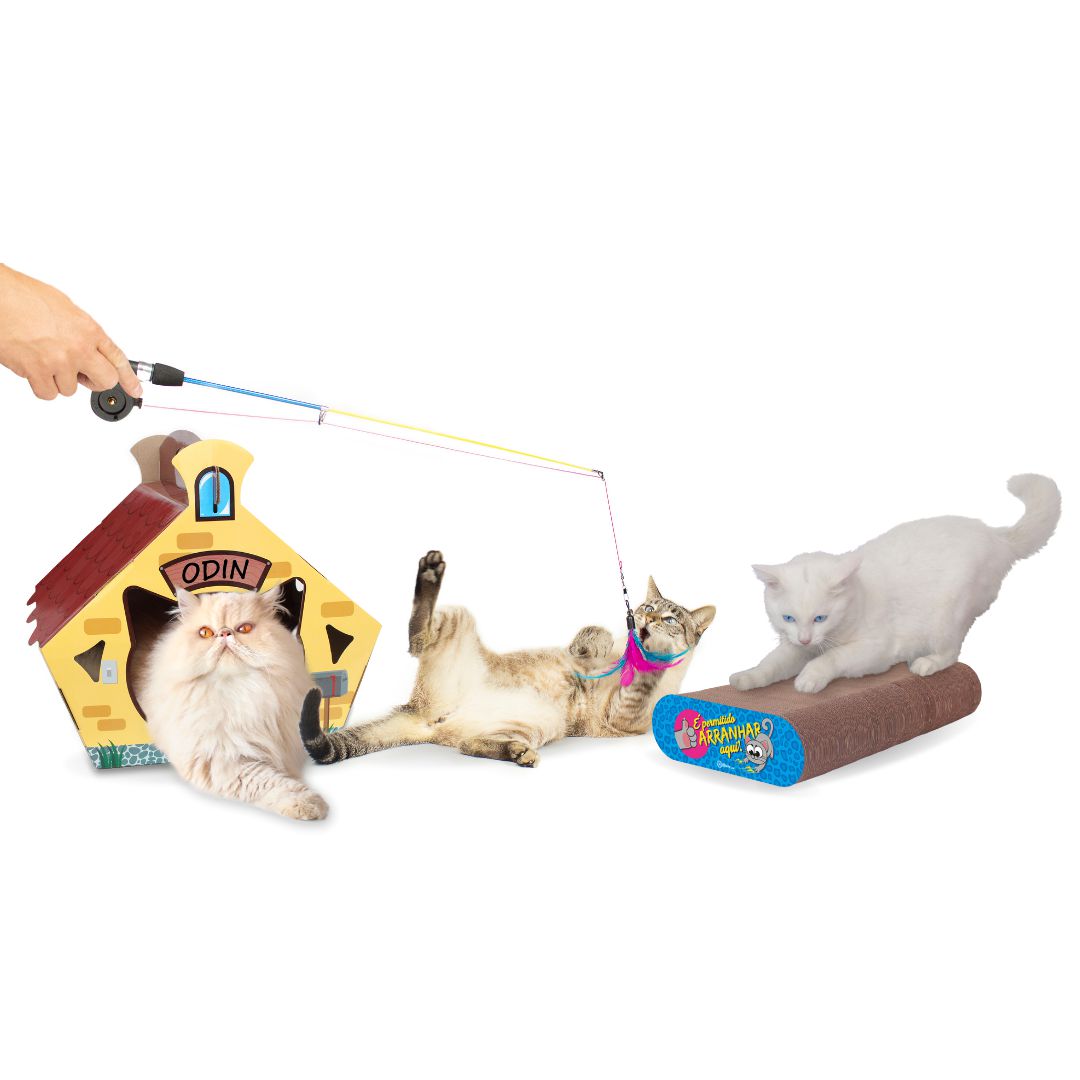 Kit Gatinho Feliz