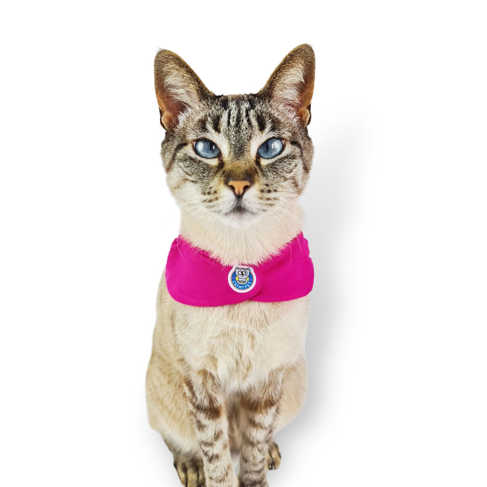 Bandana Capa Cat - Rosa Pink
