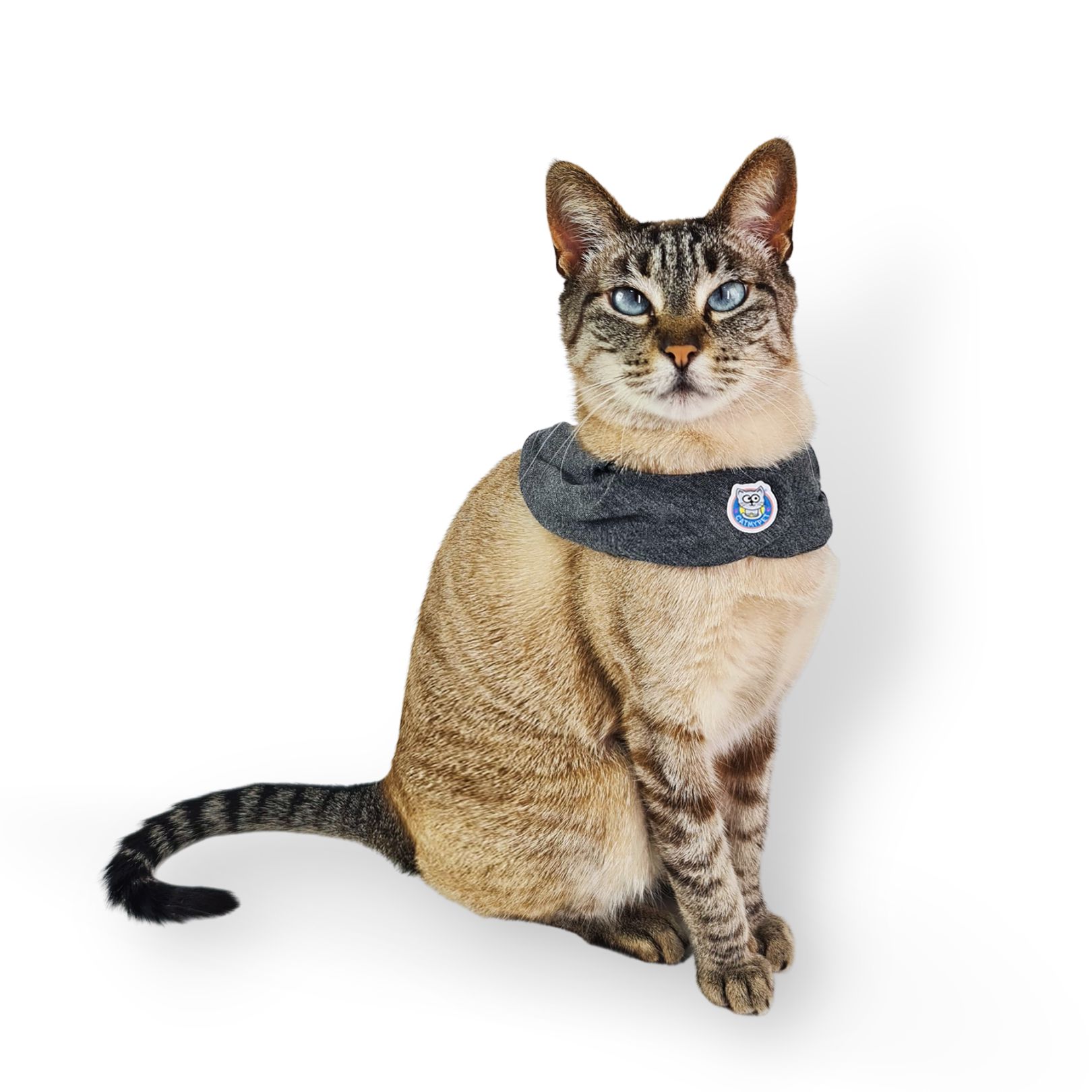 Bandana Capa Cat - Mescla Escura