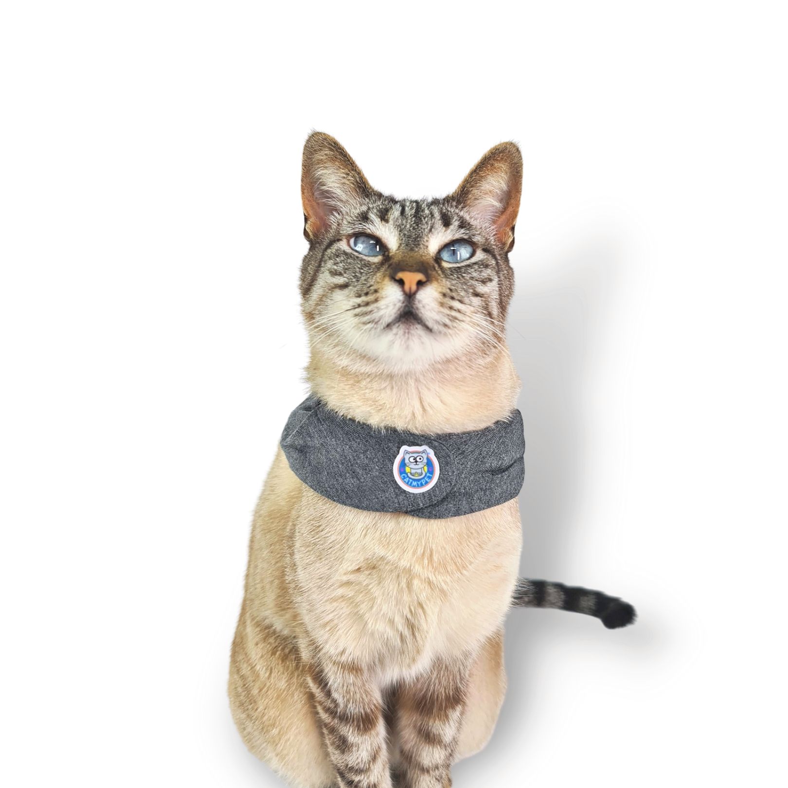 Kit Bandana Capa Cat