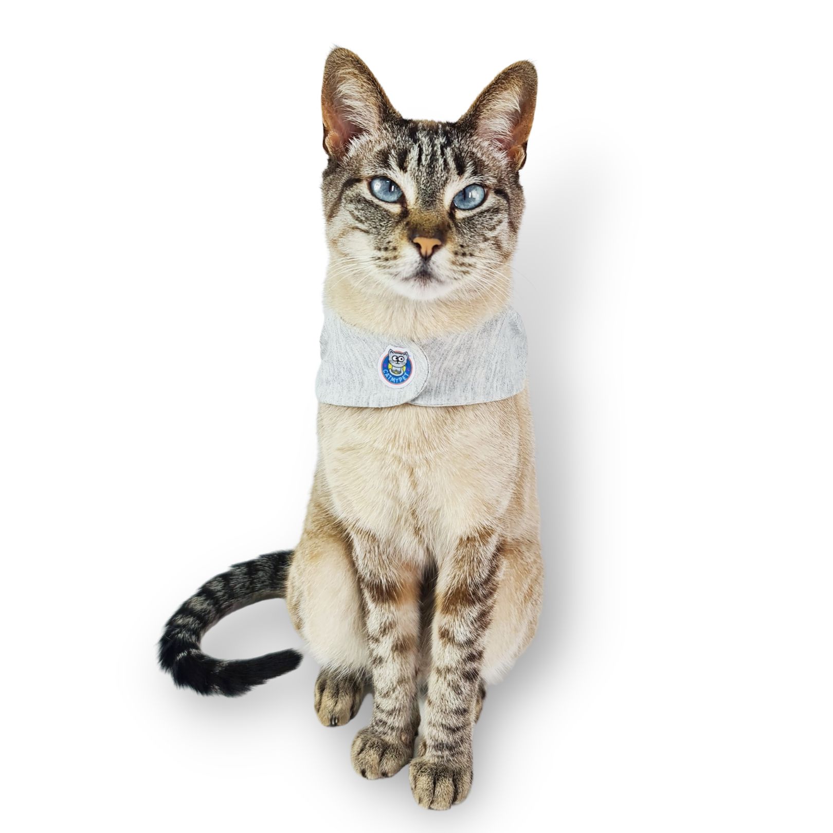 Kit Bandana Capa Cat