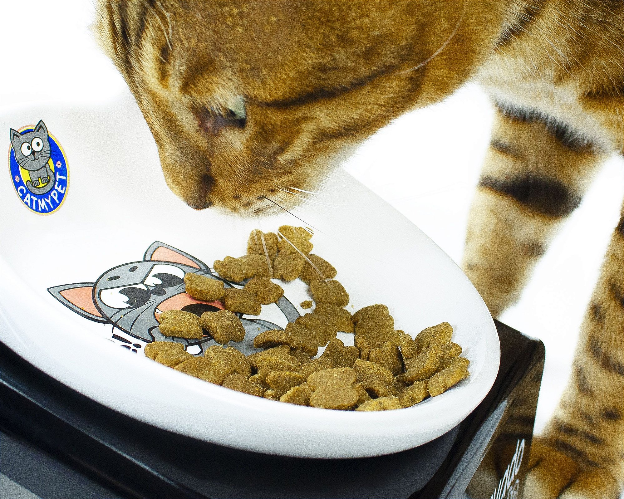 Snack Cat - Comedouro Para Gatos