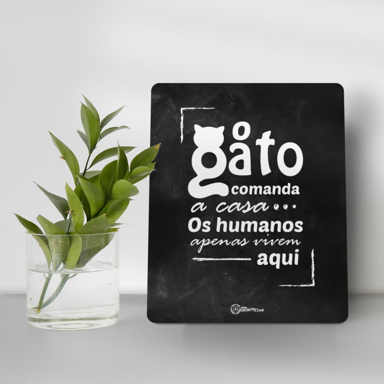 Placa Decorativa Preta - O Gato Comanda