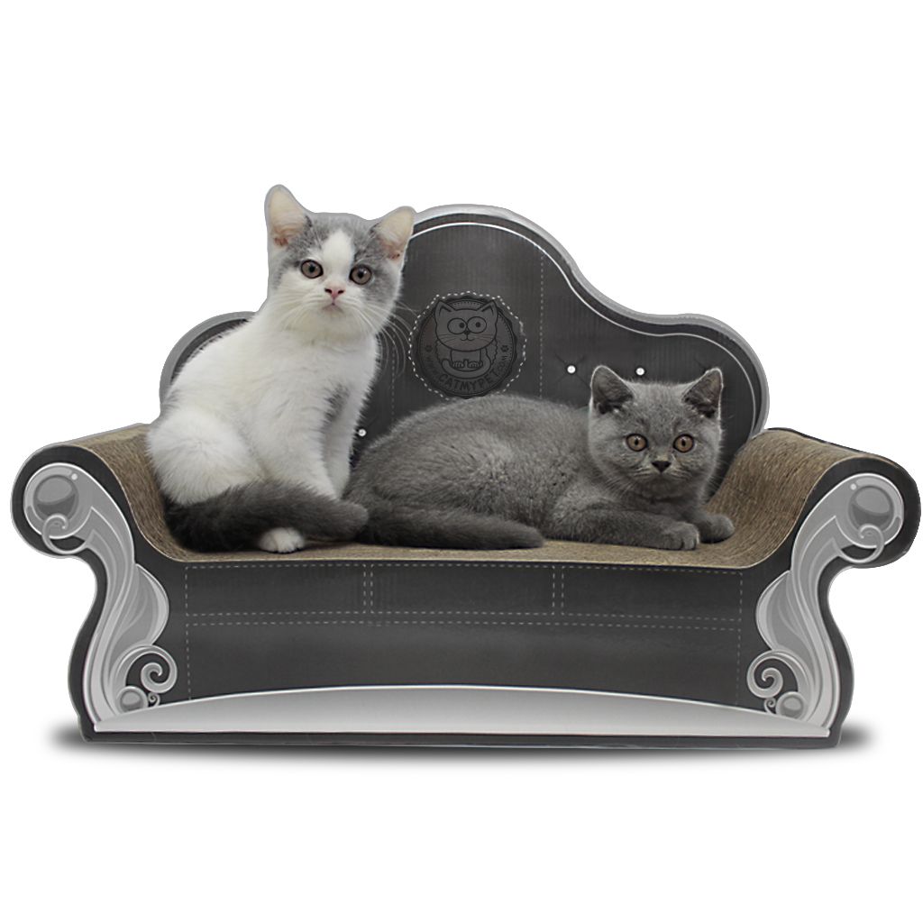 Cat Sofa Arranhador