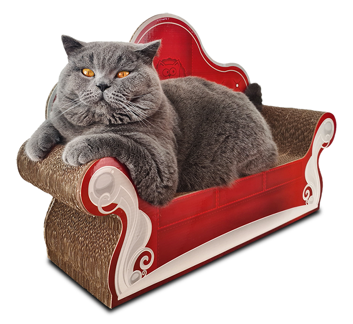 Cat Sofa Arranhador