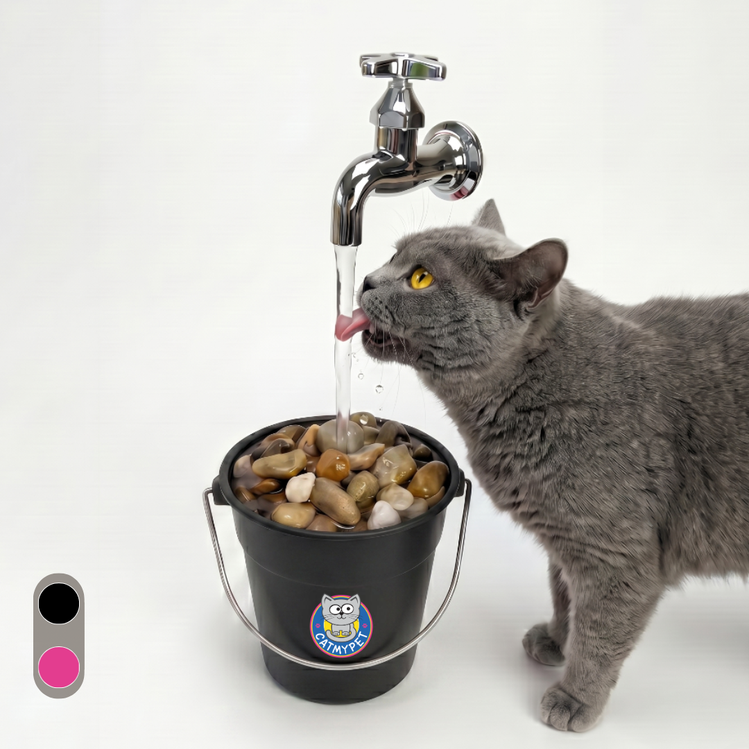 Bebedouro CatMyPet 2.0 - Fonte para Gatos Magicat