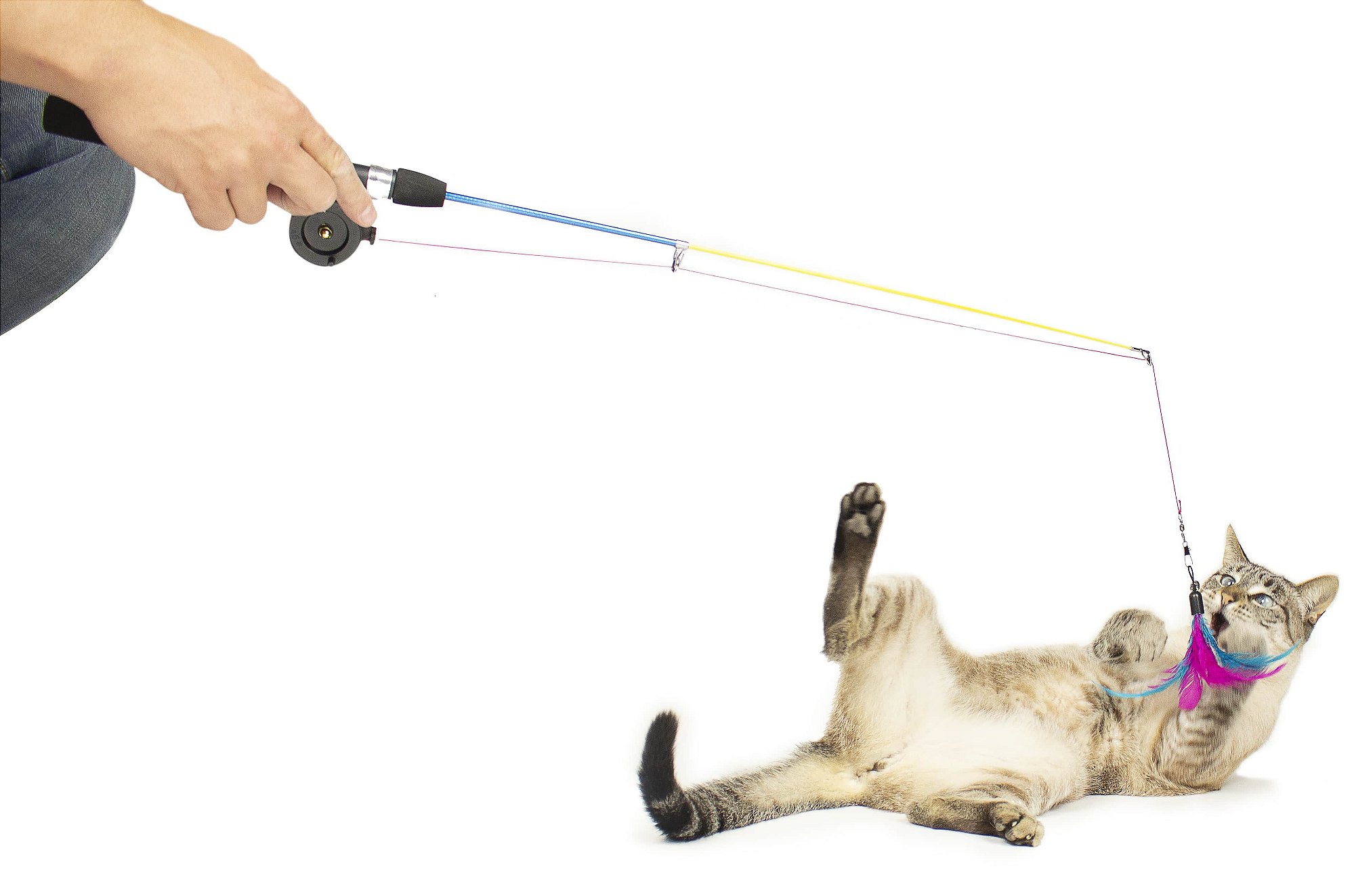 Varinha Pesca Gatinho
