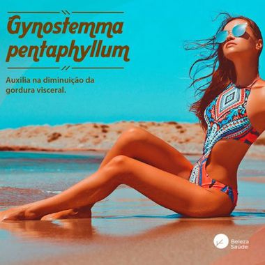Gynostemma Pentaphyllum 120mg : Qualidade de Vida, Peso Corporal - 60 doses