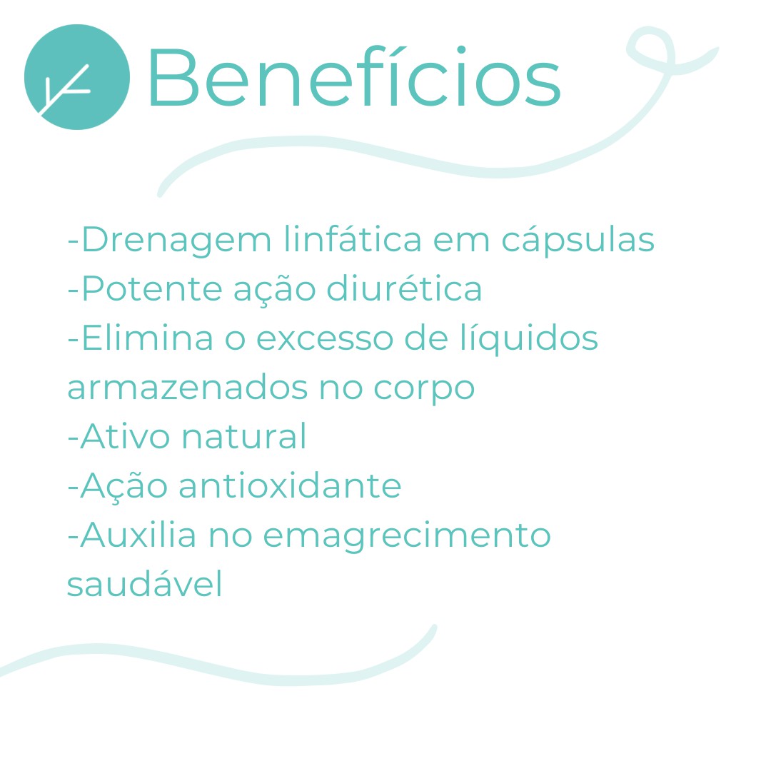 Hibisco + Cactin + 2 Ativos - Gerenciamento de Peso - 120 doses