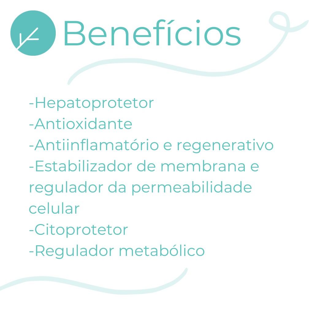 Silimarina 250mg Hepatoprotetor - 60 Cápsulas