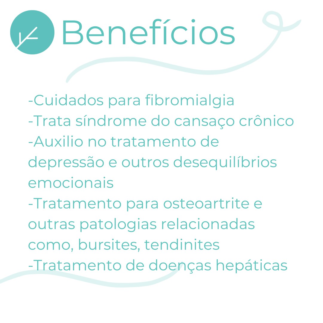 SAMe 400mg Saúde Mental e Física - 90 doses
