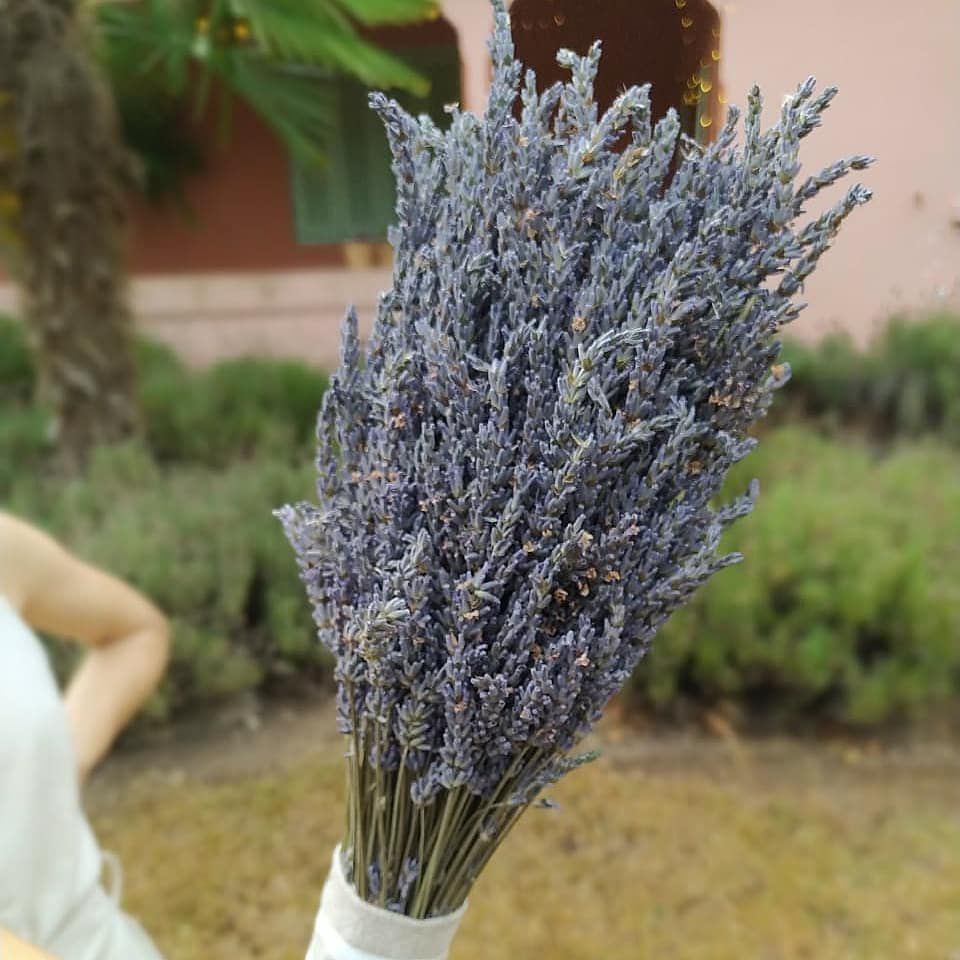Buquê Flores Desidratadas de Lavanda Francesa