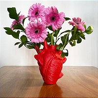 Vaso Pulsar Vermelho