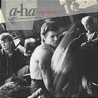 LP Vinil A Ha Hunting High and Low