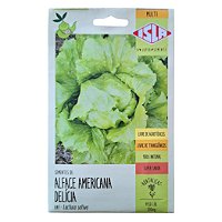 Semente de Alface Delicia Americana 0,5 g - Isla Multi 47.21