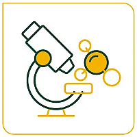EXAME ANATOMOPATOLÓGICO  BIÓPSIA 7ª AMOSTRA