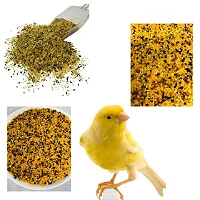 Canarita Vitamina Amarela 500 G