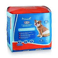 Fralda Higiênica Blue Pet Macho - Tamanho M - 12 Unidades
