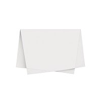Papel de Seda - 50x70cm - Branco - 10 unidades - Rizzo