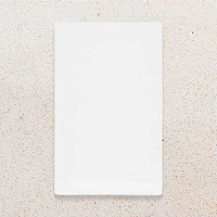 PLACA 4X2 - CEGA - BRANCO - INFINITI